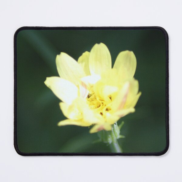 Item preview, Cactus Blossom in Yellow designed and sold by HematiteDesign.