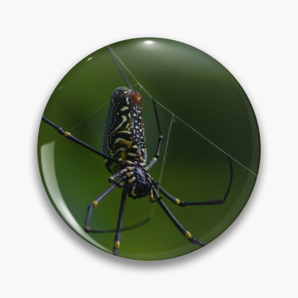 Item preview, Giant Wood Spider (F) designed and sold by lucidillusions.