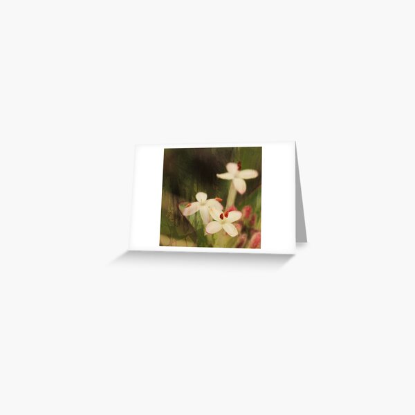 Pink Riceflowers Greeting Card