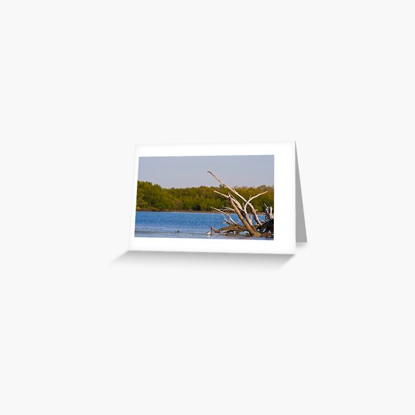 Low tide across the flats Greeting Card