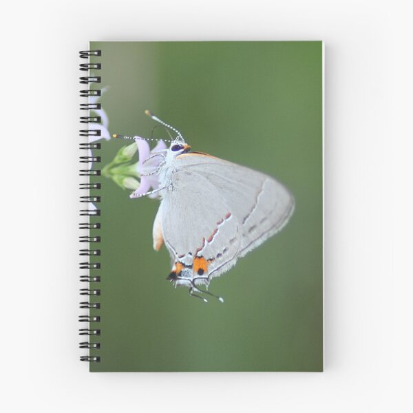 Aperçu de l'œuvre Trèfle gris sur une fleur blanche créée et vendue par HematiteDesign.