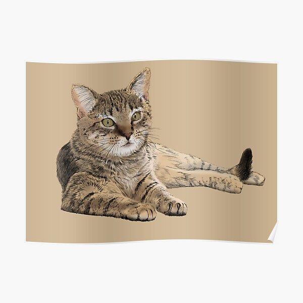 Kotek Cat Posters for Sale | Redbubble