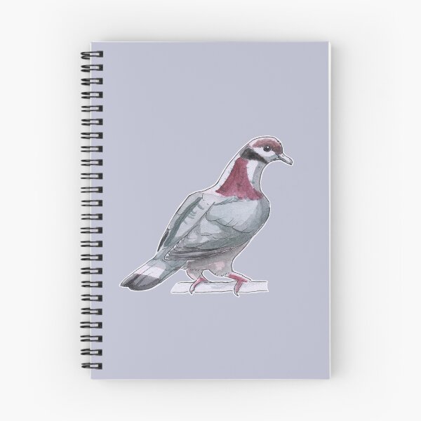 Item preview, Collared imperial-pigeon designed and sold by KeesKiwi.