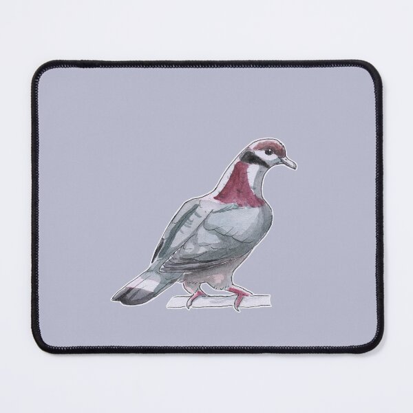 Item preview, Collared imperial-pigeon designed and sold by KeesKiwi.