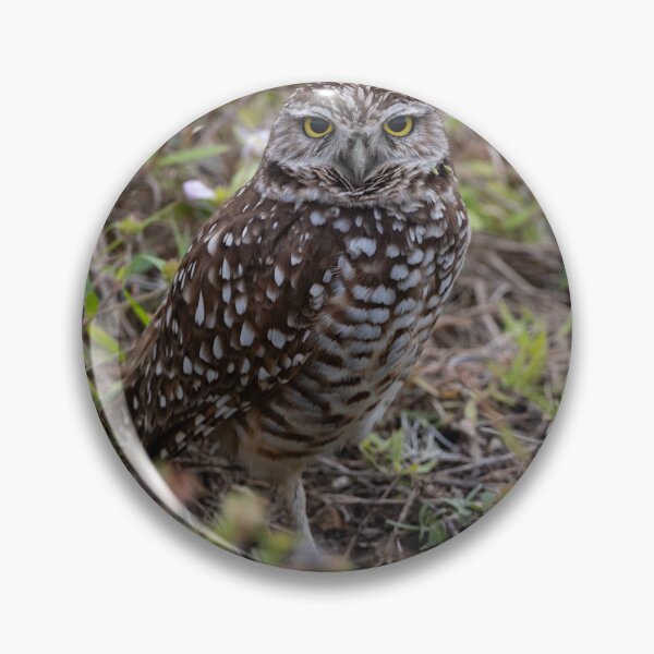 Item preview, Burrowing Owl designed and sold by meganvahey.