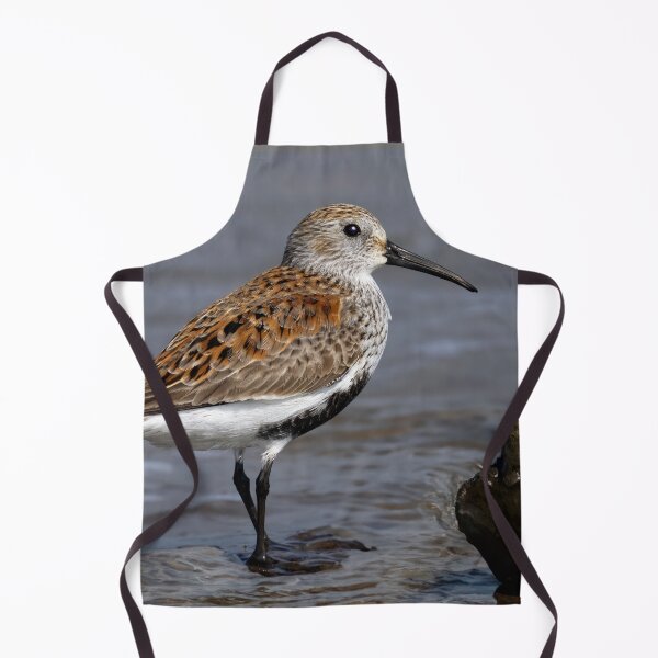 Item preview, Dunlin designed and sold by Tom McPherson Photography.
