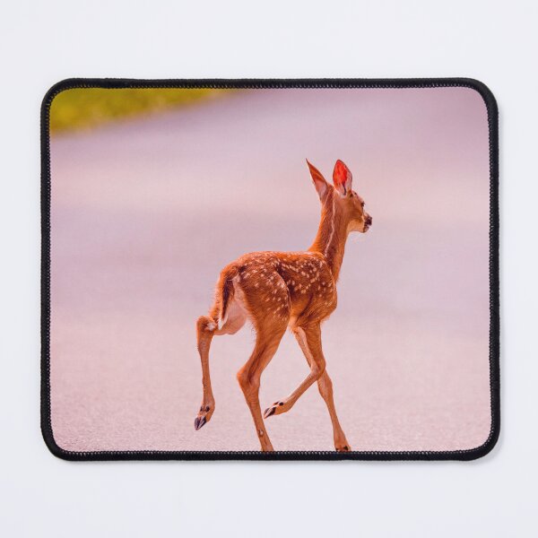 Item preview, Have You Seen My Momma 4 designed and sold by Jim Love.