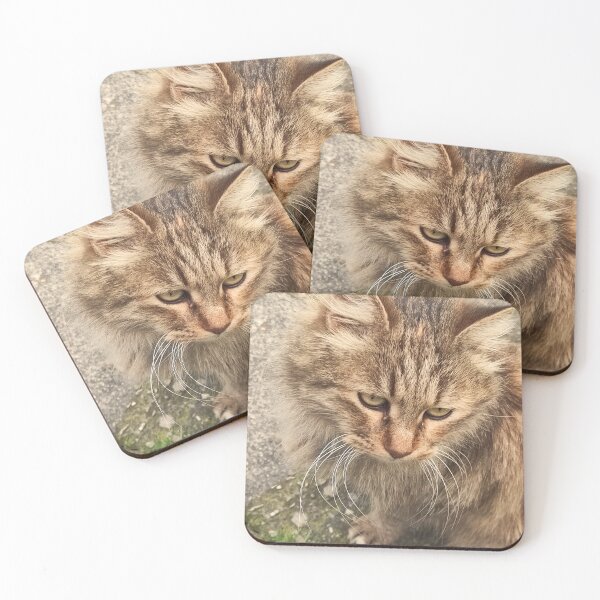 Item preview, Sad Street Cat – Worried Look designed and sold by branaghbel.