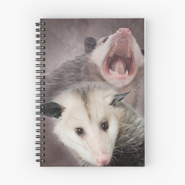Artikelvorschau, Kopie des peinlichen 80er-Jahre-Foto-Opossums entworfen und verkauft von tissueissues.
