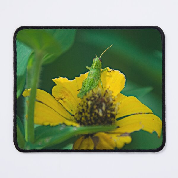 Item preview, sla meal time designed and sold by pcfyi.