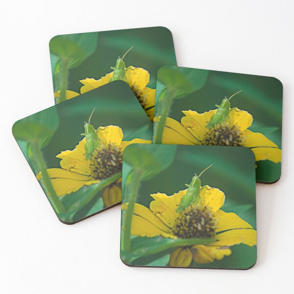 Item preview, sla meal time designed and sold by pcfyi.