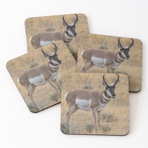 Item preview, Antelope In The Wild designed and sold by FreelanceJim.