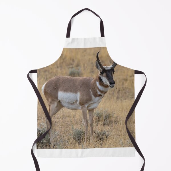 Item preview, Antelope In The Wild designed and sold by FreelanceJim.