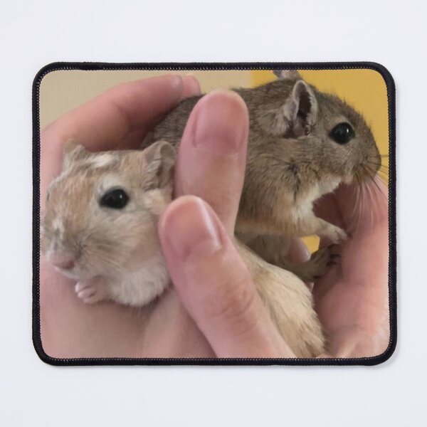 Item preview, Cozy Gerbil Hideaway designed and sold by Jerbilsmouse.