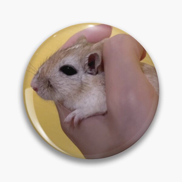 Item preview, Fun Gerbil Exercise Wheel designed and sold by Jerbilsmouse.