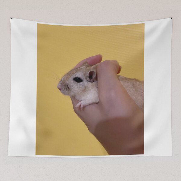 Item preview, Fun Gerbil Exercise Wheel designed and sold by Jerbilsmouse.