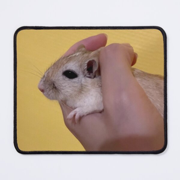 Item preview, Fun Gerbil Exercise Wheel designed and sold by Jerbilsmouse.