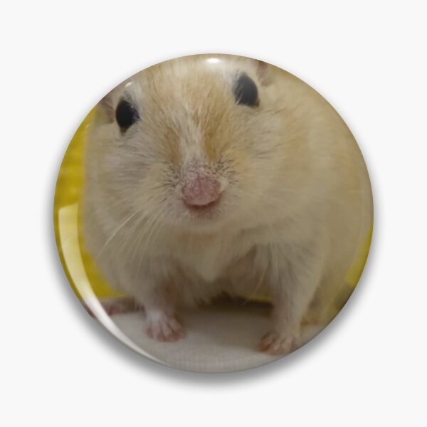 Item preview, Gerbil Cage with Multiple Levels designed and sold by Jerbilsmouse.