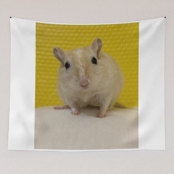 Item preview, Gerbil Cage with Multiple Levels designed and sold by Jerbilsmouse.