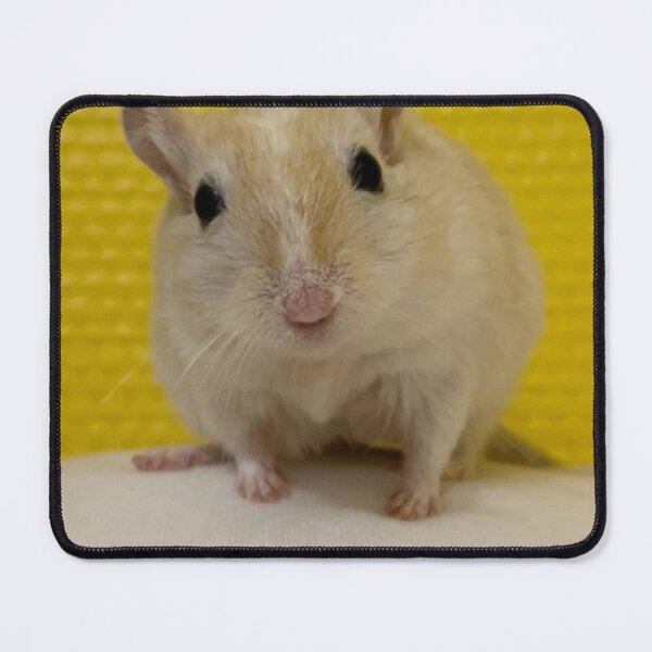 Item preview, Gerbil Cage with Multiple Levels designed and sold by Jerbilsmouse.