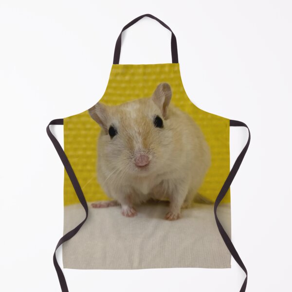 Item preview, Gerbil Cage with Multiple Levels designed and sold by Jerbilsmouse.