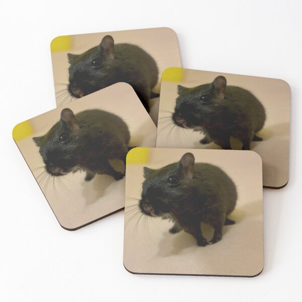 Item preview, Gerbil Habitat Decoration Kit designed and sold by Jerbilsmouse.
