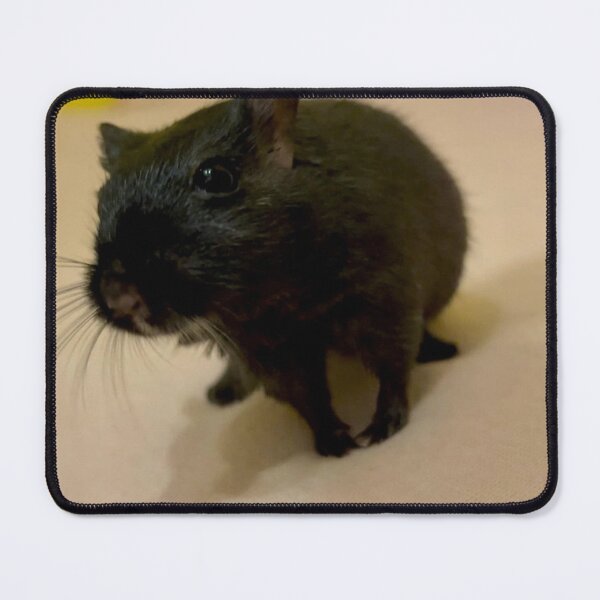 Item preview, Gerbil Habitat Decoration Kit designed and sold by Jerbilsmouse.