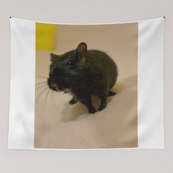 Item preview, Gerbil Habitat Decoration Kit designed and sold by Jerbilsmouse.