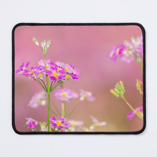 Item preview, Fairy Primrose designed and sold by robdanimalphotography.