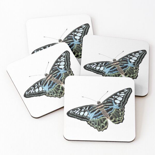 Item preview, Blue Clipper butterfly with spectacular patterning designed and sold by RuthGoring.