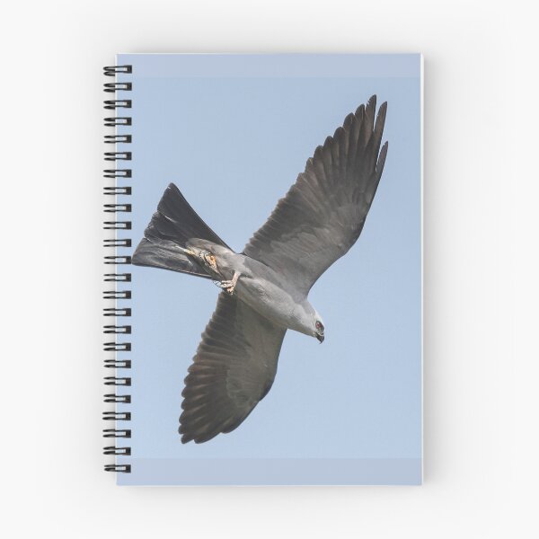 Item preview, Mississippi kite and Cicada designed and sold by Puttaswamy Ravishankar.