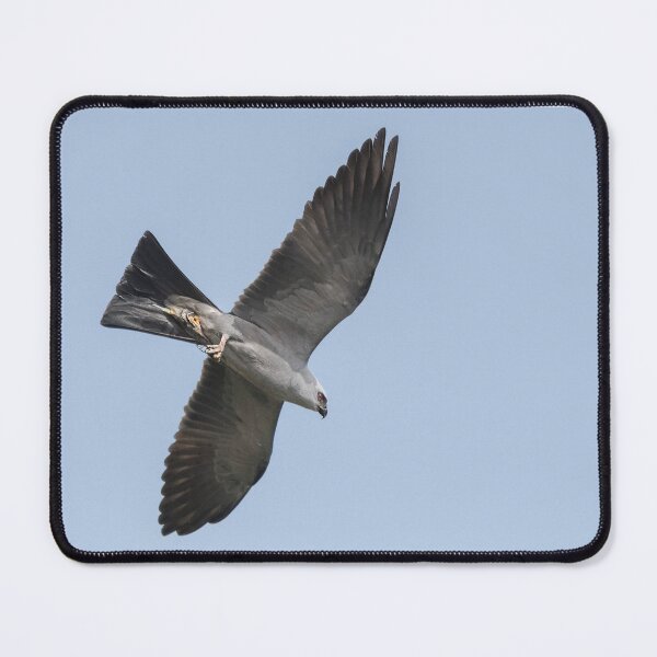 Item preview, Mississippi kite and Cicada designed and sold by Puttaswamy Ravishankar.