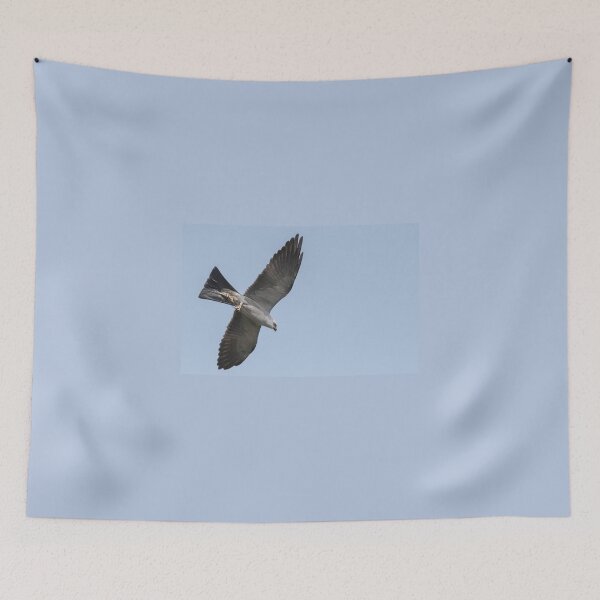Item preview, Mississippi kite and Cicada designed and sold by Puttaswamy Ravishankar.