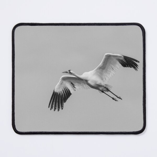 Item preview, Whooping Crane in Flight designed and sold by Puttaswamy Ravishankar.