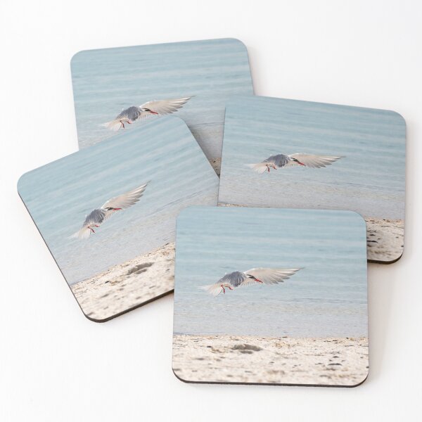 Item preview, Common Tern designed and sold by RedGrouse.