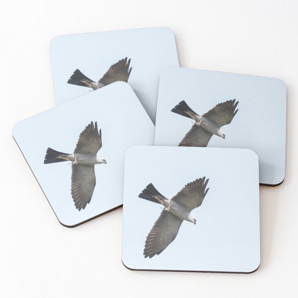 Item preview, Mississippi kite carrying Cicada in its Talon designed and sold by Puttaswamy Ravishankar.