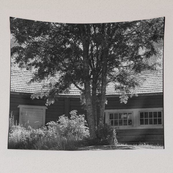 Item preview, Kovero rowan. Seitseminen 2024 bw designed and sold by Jouko Lehto Photography.