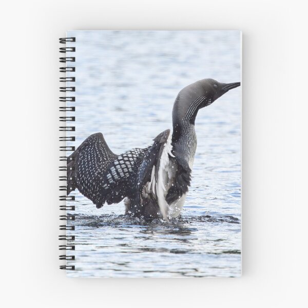 Item preview, Wings. Black-throated loon designed and sold by Jouko Lehto Photography.