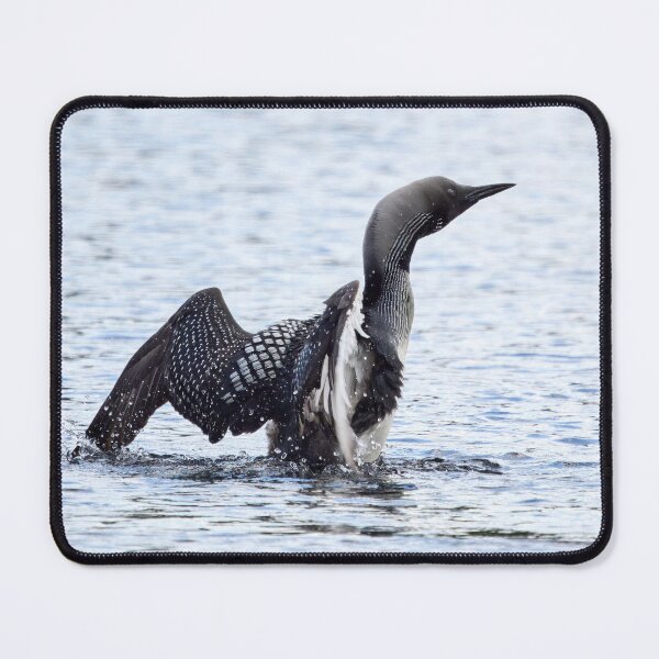Item preview, Wings. Black-throated loon designed and sold by Jouko Lehto Photography.