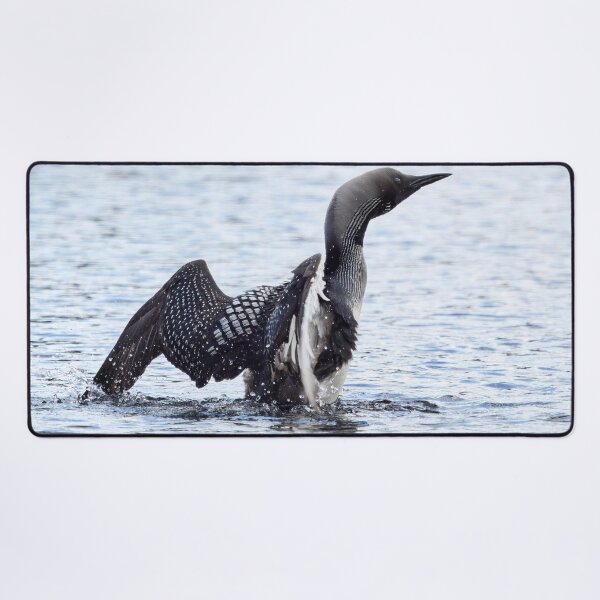 Item preview, Wings. Black-throated loon designed and sold by Jouko Lehto Photography.