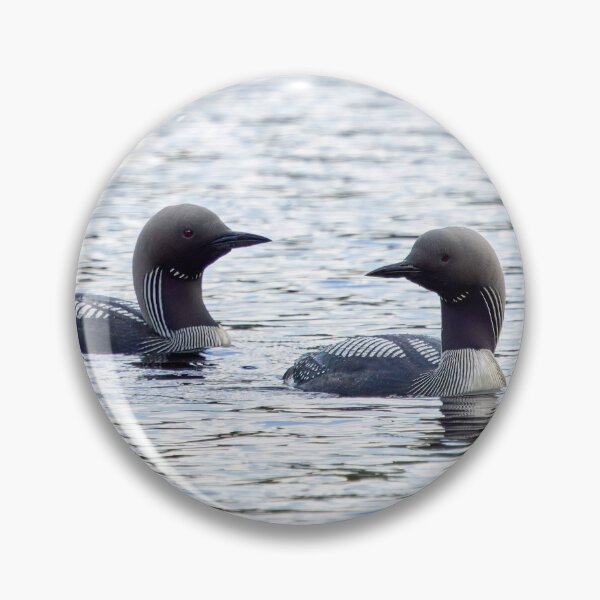 Item preview, Two of a kind. Black-throated loon designed and sold by Jouko Lehto Photography.