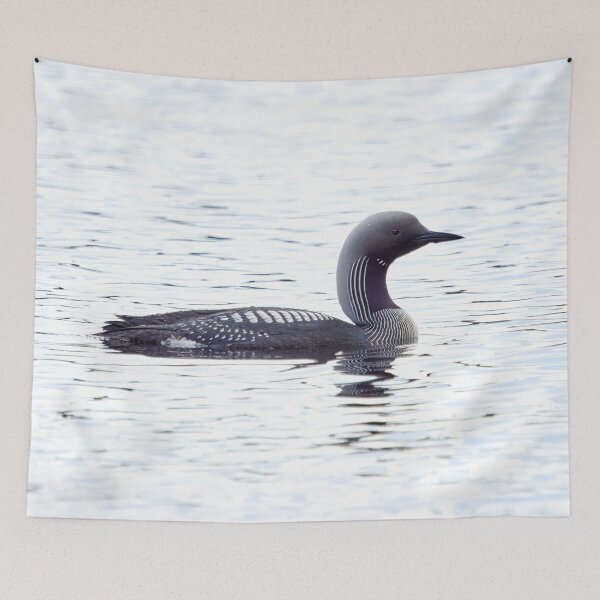 Item preview, Alone. Black-throated loon designed and sold by Jouko Lehto Photography.