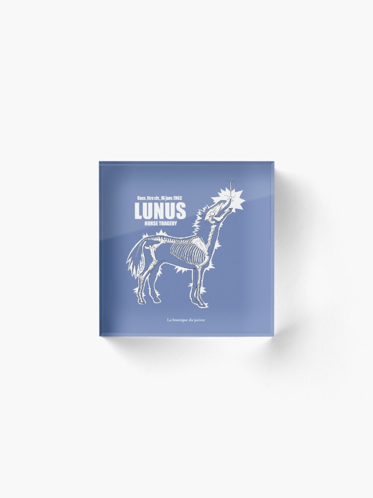Bloc acrylique ''LUNUS , horse tragedy' : autre vue
