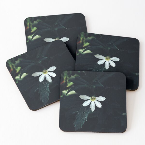 Item preview, Little white half star flower designed and sold by Kaegyn.