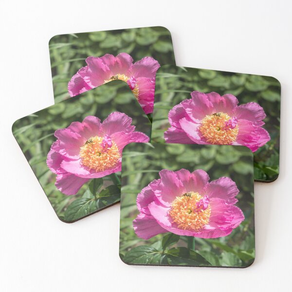 Item preview, Cute Little Beetle Nectaring on a Splendid Peony Flower designed and sold by Georgia Mizuleva.