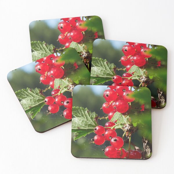 Item preview, Red berries. Red currant designed and sold by Jouko Lehto Photography.