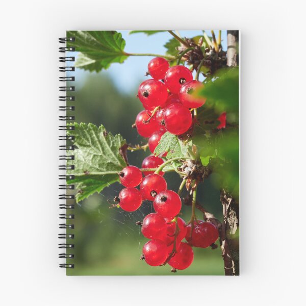 Item preview, Red berries. Red currant designed and sold by Jouko Lehto Photography.