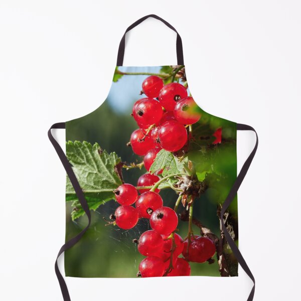 Item preview, Red berries. Red currant designed and sold by Jouko Lehto Photography.