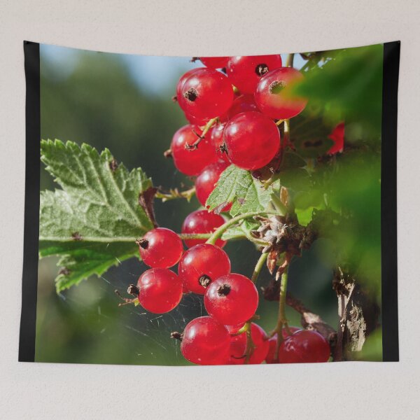 Item preview, Red berries. Red currant designed and sold by Jouko Lehto Photography.