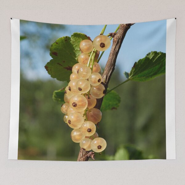 Item preview, All whites. Whitecurrant designed and sold by Jouko Lehto Photography.